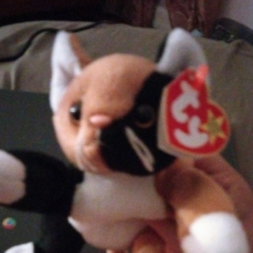 Ty Plush Calico Cat with Black, White, and Brown